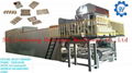 Paper Pulp Molding Machine