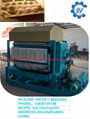 Large High-production Egg Tray Forming Machine