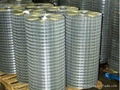 Welded Wire Mes 1