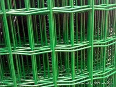 Holland Wire Mesh Fence 2