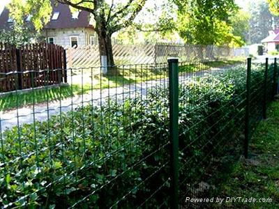 Holland Wire Mesh Fence 3