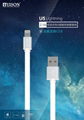 HIGH SPEED DATA CABLE FOR IPHONE 1