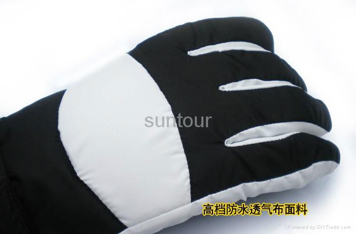 Electric warm gloves