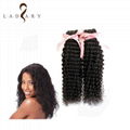 New Arrival Virgin Peruvian Hair Double Layers Afro Kinky Human Hair Weave