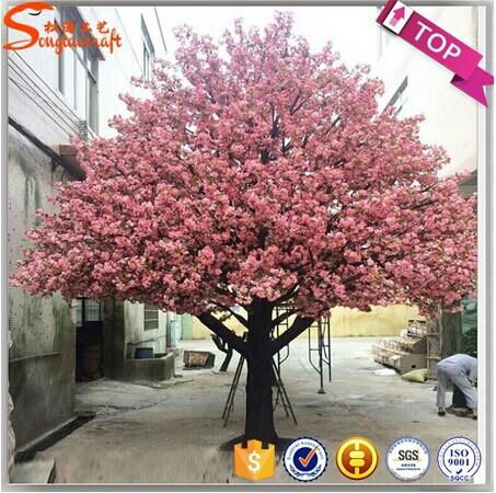 Cherry blossom tree flower tree wedding tree