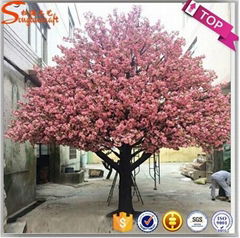 Cherry blossom tree flower tree wedding tree