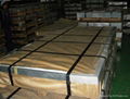 Galvanized Corrugated Steel Sheet 3