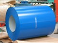 Prepainted galvalume,galvanized steel coil  1