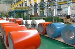 PPGL,PE Coated Steel Coil