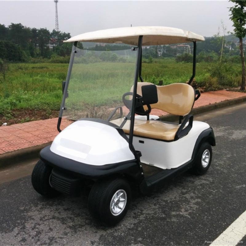 2 Seats Mini Gas Golf Cart From China for Sale