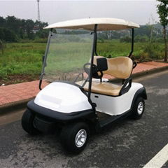 2 Seats Mini Gas Golf Cart From China for Sale