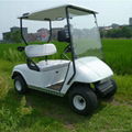 2 Seats Mini Gas Golf Cart From China for Sale 3