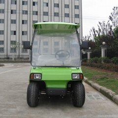 Green color 2 seat electric golf cart for sale
