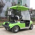 Green color 2 seat electric golf cart for sale 2