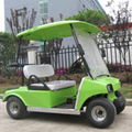 Green color 2 seat electric golf cart for sale 4