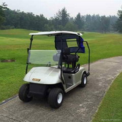 2 seat electric golf cart with CE certification for sale