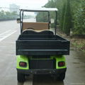 2 seat electric utility vehicle with lime color for sale