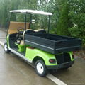 2 seat electric utility vehicle with lime color for sale 2