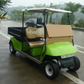 2 seat electric utility vehicle with lime color for sale 3