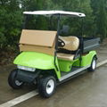 2 seat electric utility vehicle with lime color for sale 4