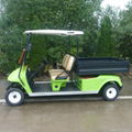 2 seat electric utility vehicle with lime color for sale 5