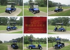 Cheap electric golf cart with 2 seat  from China for sale