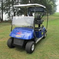 Cheap electric golf cart with 2 seat  from China for sale 2