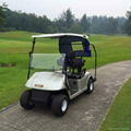 Cheap electric golf cart with 2 seat  from China for sale 3