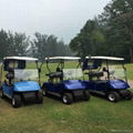 Cheap electric golf cart with 2 seat  from China for sale 5