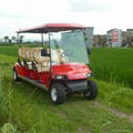 6 seat electric golf cart with red color