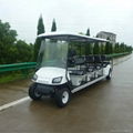 10 passenger golf cart powered by 4KW