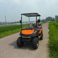 Chinese 4 seat golf cart powered by gas