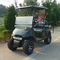 4 seat gad powered golf cart with 12inch