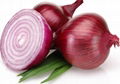 Onion 3