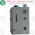 SHC300 hydrogen gas generator GC using