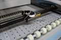 Fabric Laser Cutting Machine with Auto-feeding device  2