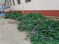 China Supplier camouflaged artificial bionic banyan tree tower 2