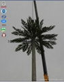 Hot dipped camouflaged coconut galvanized mobile communication tower 1