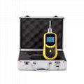 Portable pump suction gas detector RH-2000 1