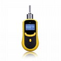 Portable pump suction gas detector RH-2000 2