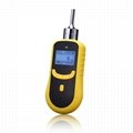 Portable pump suction gas detector RH-2000 5