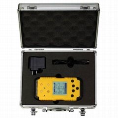 Portable multi gas detector   RH-1200