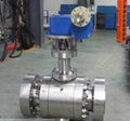 Ultra Low Temp. Ball Valve 3