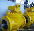 Top Entry Trunnion Mounted Ball Valve