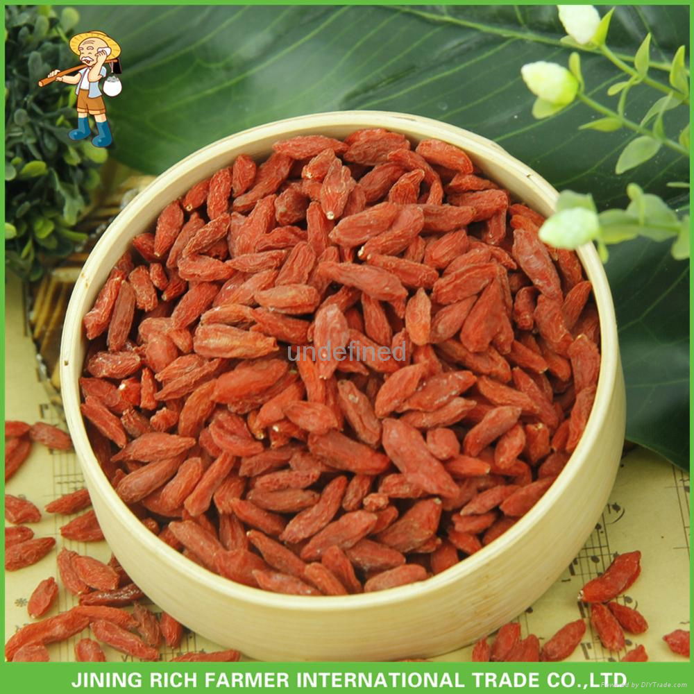 Hot sale high quality Ningxia dried fruit Goji berry