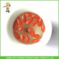 Hot sale high quality Ningxia dried fruit Goji berry 3