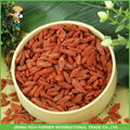 High quality Ningxia new crop 280&380 grains/50gram dried goji berry 1