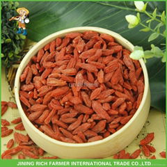 High quality Ningxia new crop 280&380