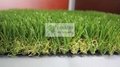 beautiful  shape  landscape   grass  from  dorelom  manufacturer 3