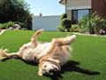 factory price soft feeling artificial grass for pets 3